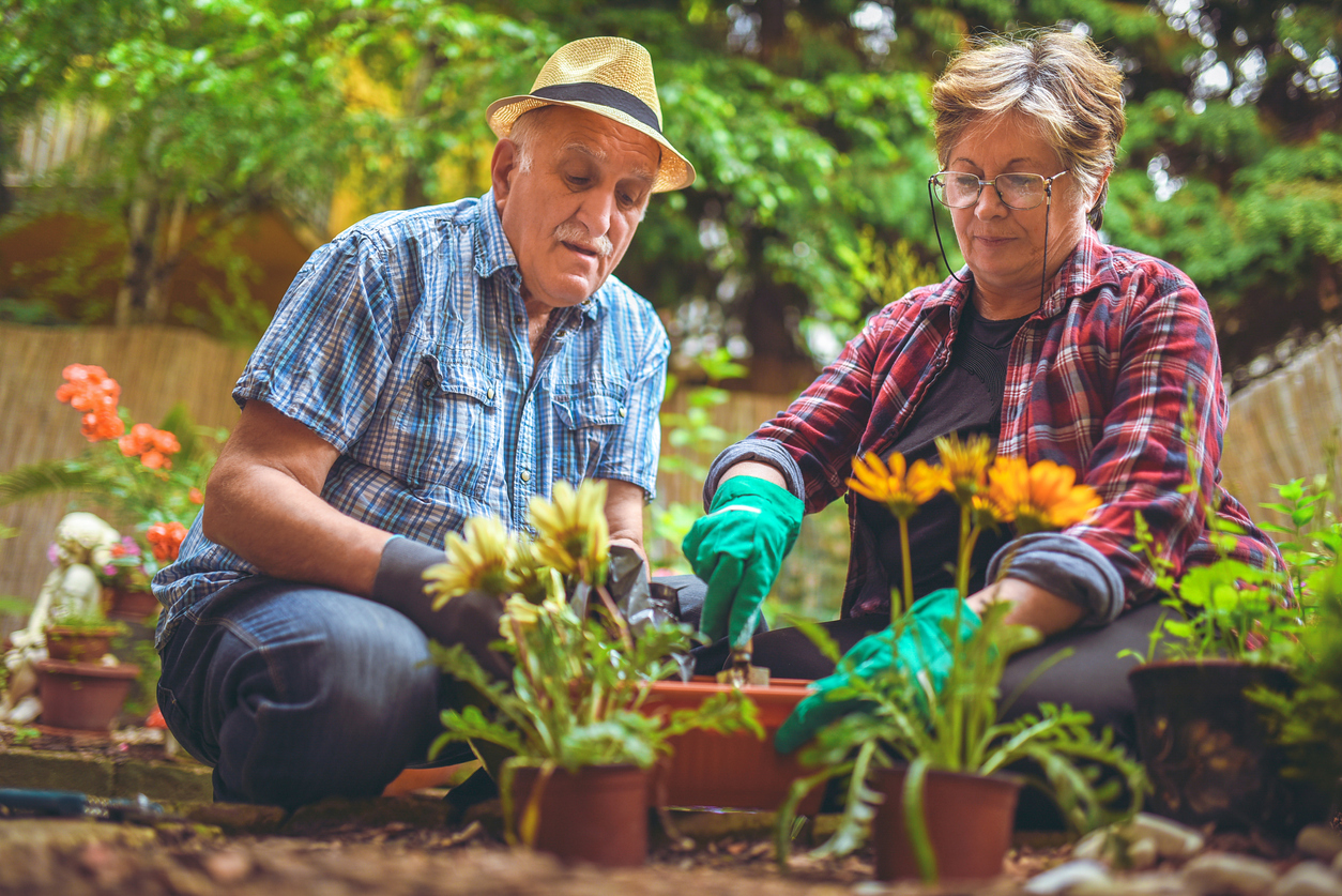Resilient Living with Dementia: First Steps Webinar, Spring 2021