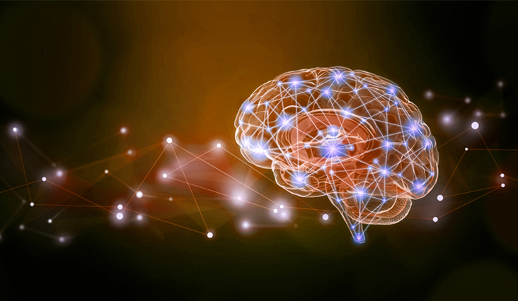 Cognitive Stimulation Therapy